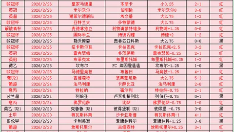 意甲球星卡拉菲奥里赛场意外受伤瞬间回顾：