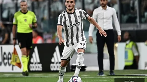 8月24日股票增减动态解析：凯赛生物等四股拟减，震有科技增持动向一览